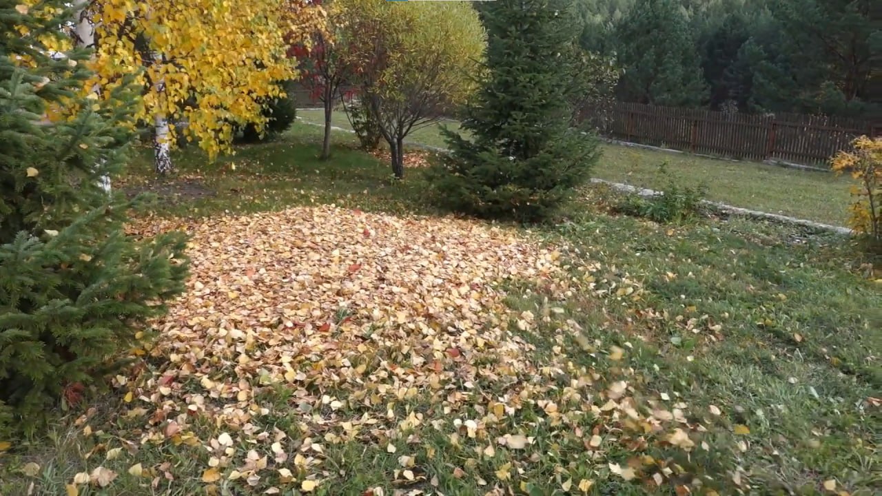 https://tyumen.mslandshaft.ru/storage/app/uploads/public/642/ac5/f22/642ac5f2293e2935715739.jpg